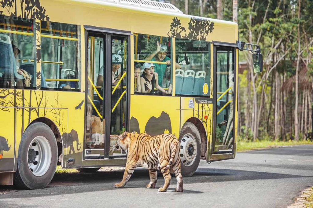 Một trong những địa điểm du lịch Phú Quốc phía bắc chính là Vinpearl Safari